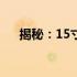 揭秘：15寸笔记本电脑的重量是多少？