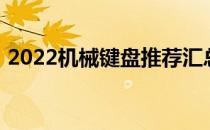 2022机械键盘推荐汇总，优质键盘尽在知乎