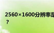 2560×1600分辨率是多少寸的平板电脑屏幕？
