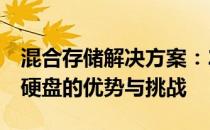 混合存储解决方案：256G固态硬盘搭配机械硬盘的优势与挑战