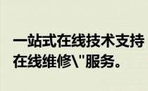 一站式在线技术支持，专业可靠的