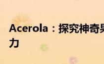 Acerola：探究神奇果实的健康益处与独特魅力