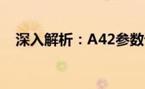 深入解析：A42参数详解与应用场景探讨