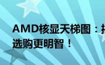 AMD核显天梯图：揭示最新显卡性能排名，选购更明智！
