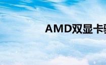 AMD双显卡驱动安装指南