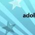 adolbook笔记本价格解析