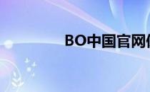 BO中国官网保修服务指南
