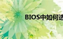 BIOS中如何选择U盘启动项