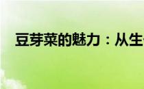 豆芽菜的魅力：从生长到餐桌的奇妙之旅