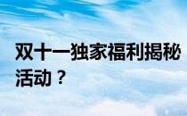 双十一独家福利揭秘：Apple官网是否有优惠活动？