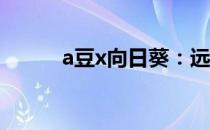 a豆x向日葵：远程工作的新选择