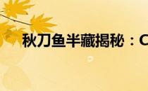 秋刀鱼半藏揭秘：CPU天梯图深度解析