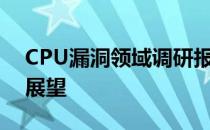 CPU漏洞领域调研报告：现状、挑战与未来展望