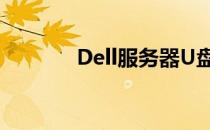 Dell服务器U盘启动完全指南