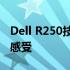 Dell R250技术深度解析：性能、设计与使用感受