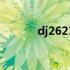 dj2621软件下载及安装全攻略