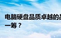 电脑硬盘品质卓越的品牌推荐：哪个品牌更胜一筹？