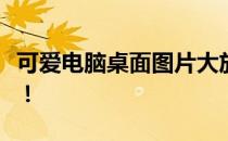 可爱电脑桌面图片大放送，总有一款让你心动！