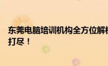 东莞电脑培训机构全方位解析：课程、师资与就业支持一网打尽！