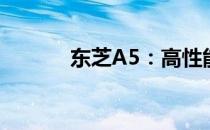 东芝A5：高性能固态硬盘解析