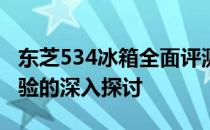 东芝534冰箱全面评测：性能、设计与使用体验的深入探讨