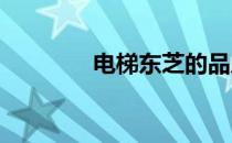 电梯东芝的品质与性能解析