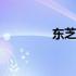 东芝L536笔记本参数详解