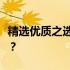 精选优质之选：哪款电商笔记本电脑最适合你？