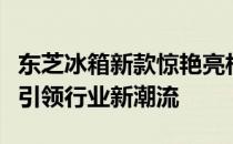 东芝冰箱新款惊艳亮相，创新科技与时尚设计引领行业新潮流
