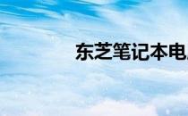 东芝笔记本电脑的缺点解析