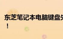 东芝笔记本电脑键盘失灵？一键修复轻松解决！