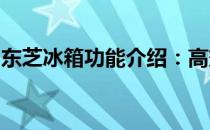东芝冰箱功能介绍：高效、智能与人性化设计