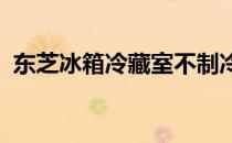 东芝冰箱冷藏室不制冷原因分析及解决方案