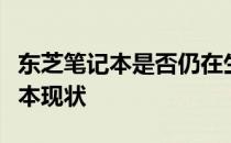 东芝笔记本是否仍在生产？全面解读东芝笔记本现状