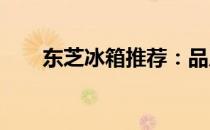 东芝冰箱推荐：品质之选，实用至上