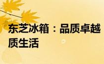 东芝冰箱：品质卓越，技术领先，为您提供优质生活