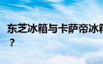 东芝冰箱与卡萨帝冰箱对比：哪一款更具优势？