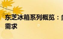 东芝冰箱系列概览：多种产品线满足您的不同需求