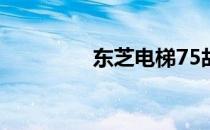 东芝电梯75故障处理指南