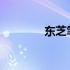东芝笔记本购买渠道全解析
