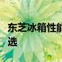 东芝冰箱性能与质量评测：值得拥有的家电之选