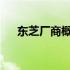 东芝厂商概览：历史、业务与未来发展