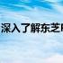 深入了解东芝P800T02S：性能、特点与优势