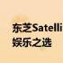 东芝Satellite系列电脑：性能卓越的工作与娱乐之选