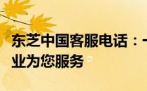 东芝中国客服电话：一站式解决您的疑问，专业为您服务
