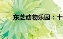 东芝动物乐园：十二年的成长与变迁