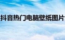 抖音热门电脑壁纸图片大放送！高清精选合集