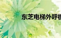 东芝电梯外呼板地址设置详解