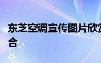 东芝空调宣传图片欣赏：科技与美学的完美结合