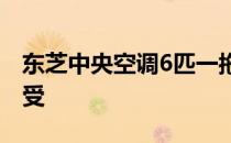 东芝中央空调6匹一拖五：高效制冷，舒适享受